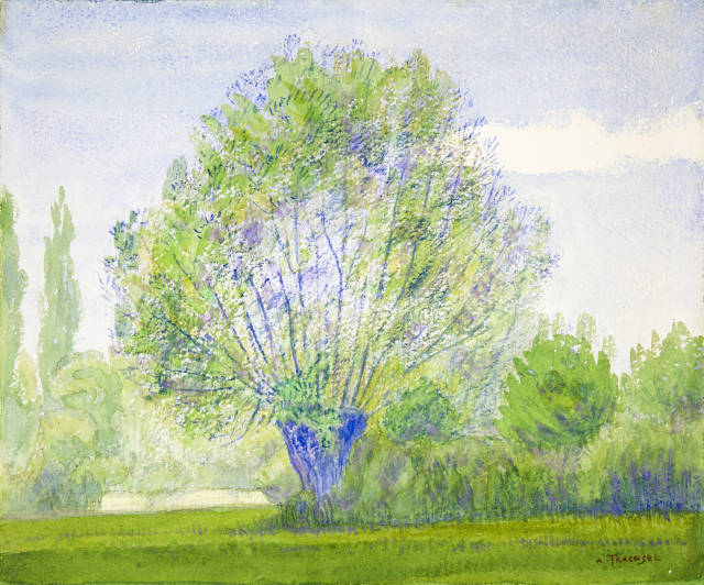 Albert Trachsel : Weidenbaum im Sommer, Around 1920