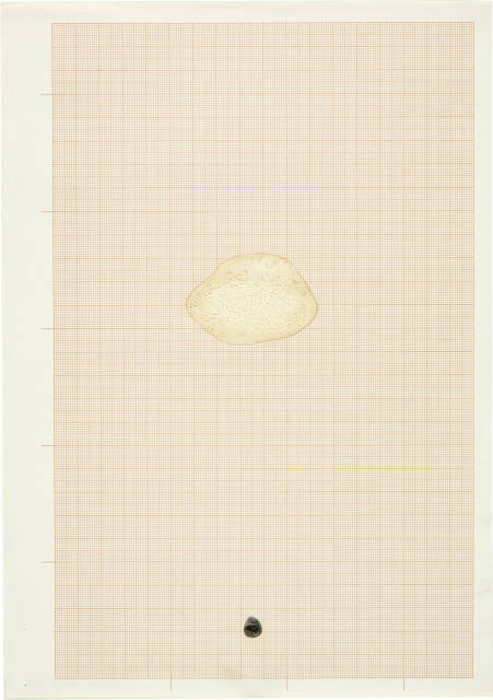 Gabriel Orozco  : Untitled , 1992
