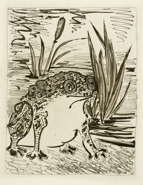 Pablo Picasso  : Le Crapaud , Paris, 1936