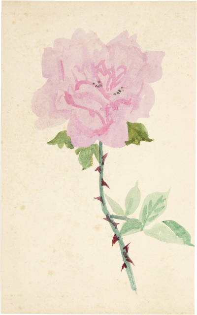 Johannes Itten  : Rose ,  