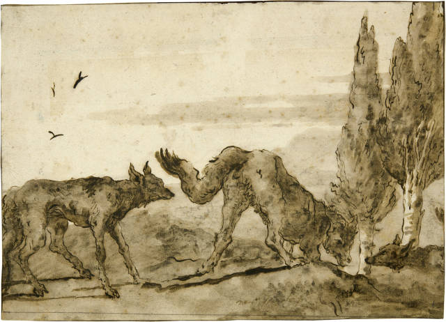 Giovanni Domenico Tiepolo  : Trois loups ,  