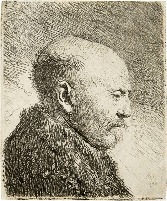 Rembrandt Harmensz. van Rijn : Kahlkopf, nach rechts gewendet - Bald Headed ..., 1630