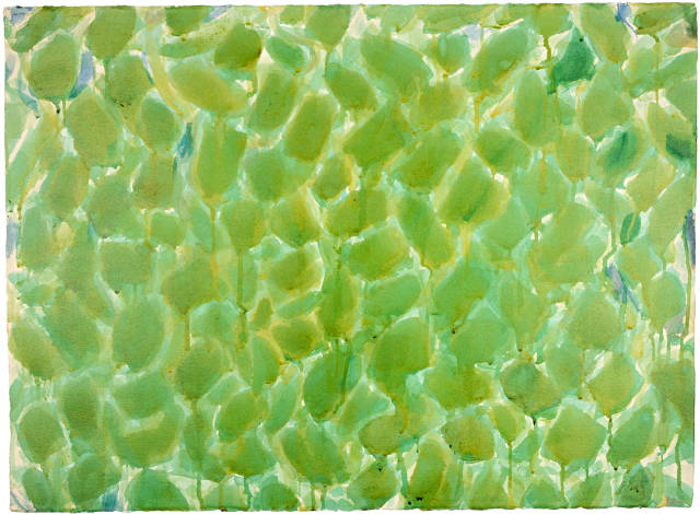 Sam Francis : Green, 1952