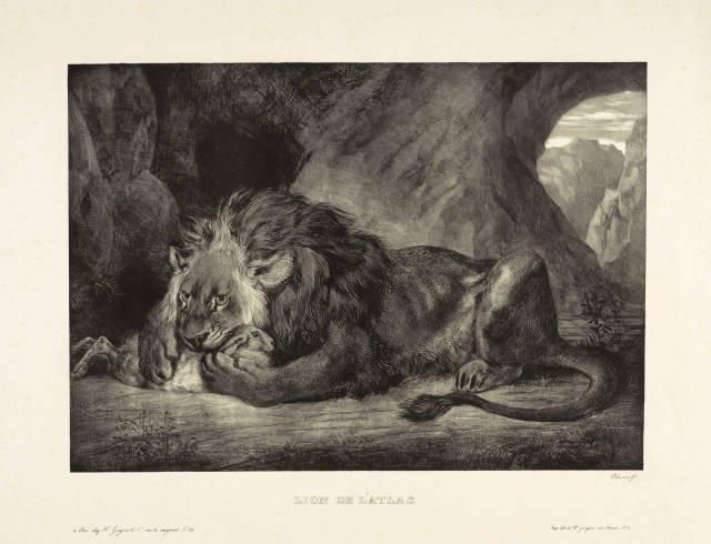 Eugène Delacroix : Lion de l'Atlas, 1829