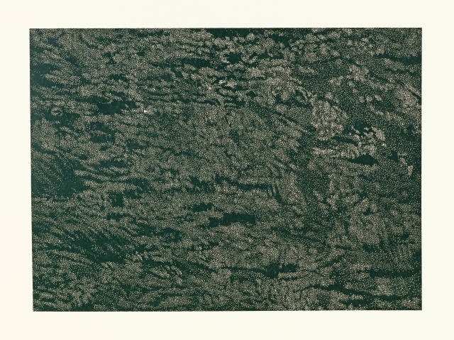 Franz Gertsch : Schwarzwasser II (Detail 1), 1994