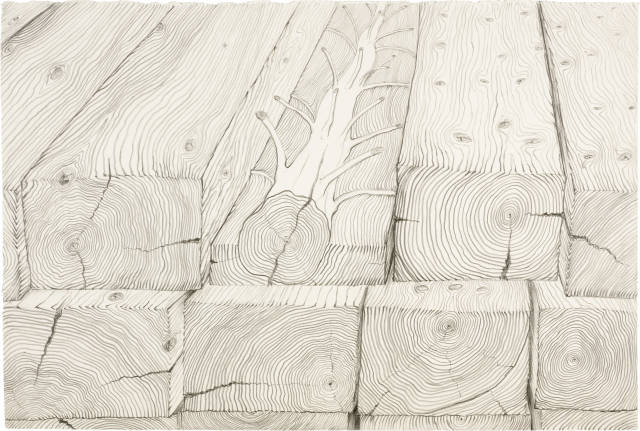 Giuseppe Penone  : Progetto per un'albero di 20 anni , 1970 