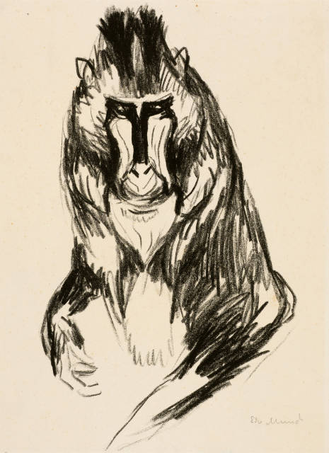 Edvard Munch : Mandrill - Gorilla, 1908-1909