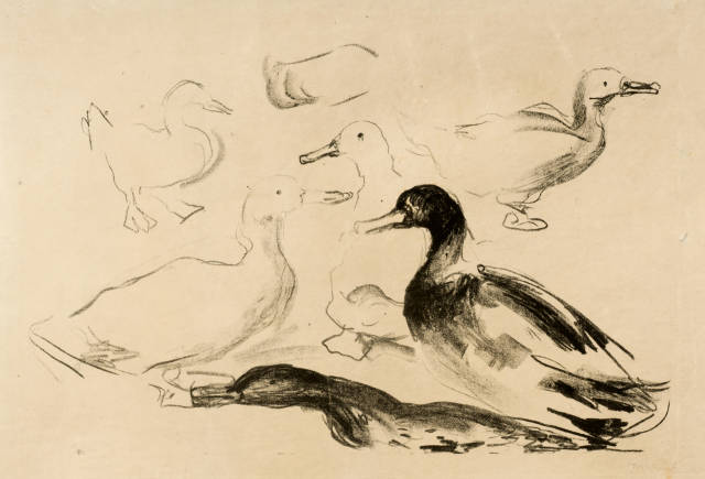 Edvard Munch : Enten - Ducks, 1912-1913