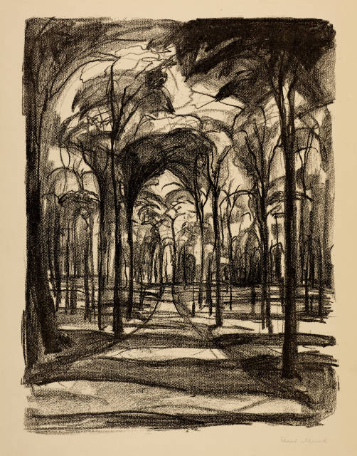 Edvard Munch : Buchenwald, Wiesbaden - Woods by Wiesbaden, 1921-1922