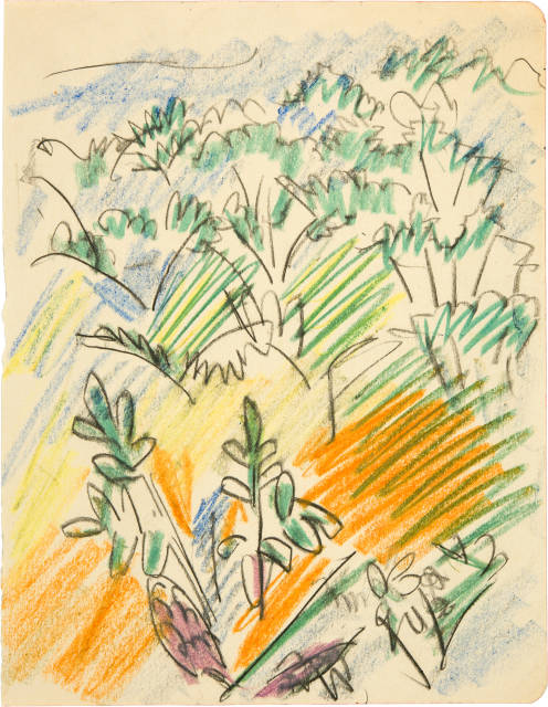 Ernst Ludwig Kirchner : Wiesenblumen, 1919