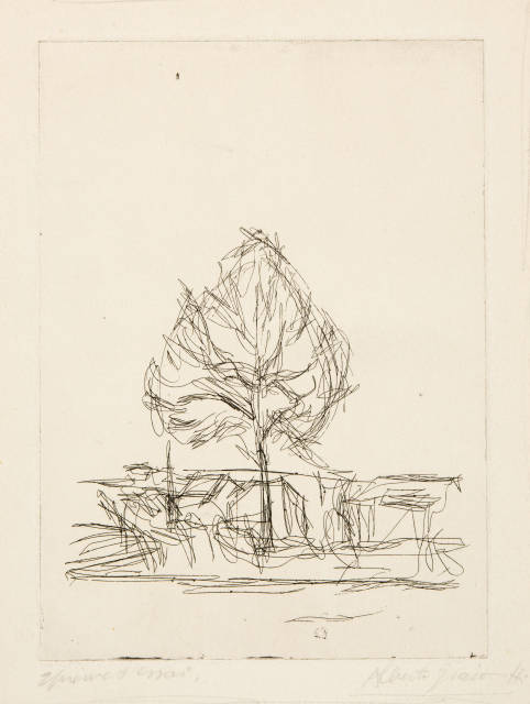 Alberto Giacometti : L’Arbre IV, 1955/1956