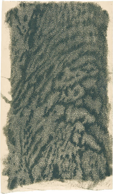 Franz Gertsch : Ohne Titel,  