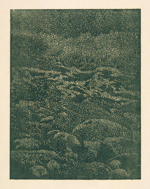 Franz Gertsch  : Ufersteine , 2002 