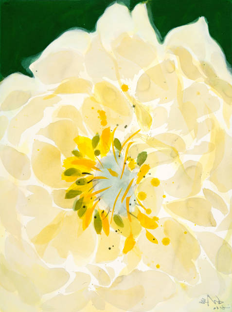 Teruko Yokoi : Peony, 2000