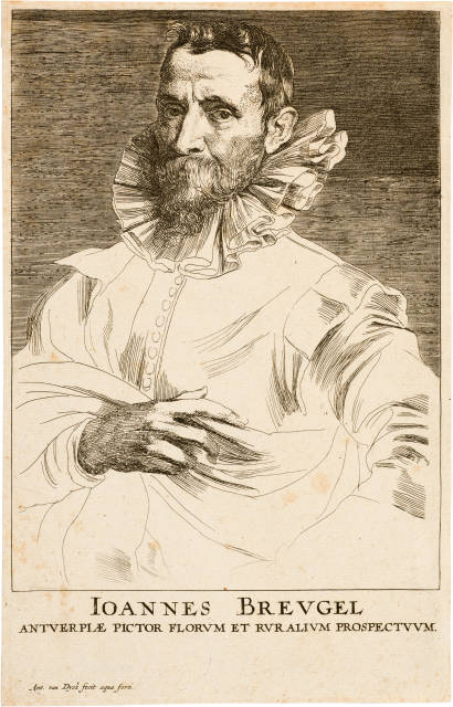 Anton van Dyck : Ioannes Breugel, Maler in Antwerp, Circa 1630