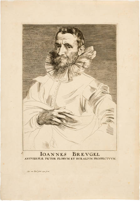 Anton van Dyck : Ioannes Breugel, Maler in Antwerp , Circa 1630