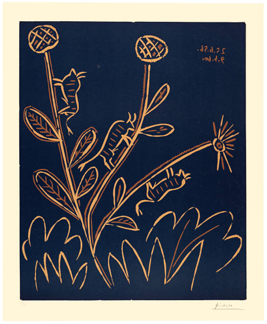 Pablo Picasso  : Plante aux toritos , Cannes, 25. Juni 1959 und 9. April 1960 