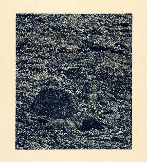 Franz Gertsch : Am Schwarzwasser. Ausschnitte: Landschaften ..., 1991 