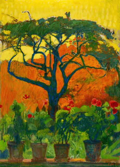 Cuno Amiet : Der alte Baum, 1952