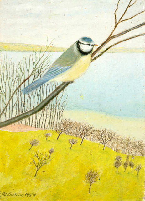 Adolf Dietrich : Blaumeise auf kahlem Zweig, 1957 