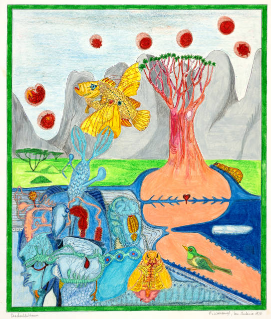 Peter von Wattenwyl : Drachenblutbaum, 1970 