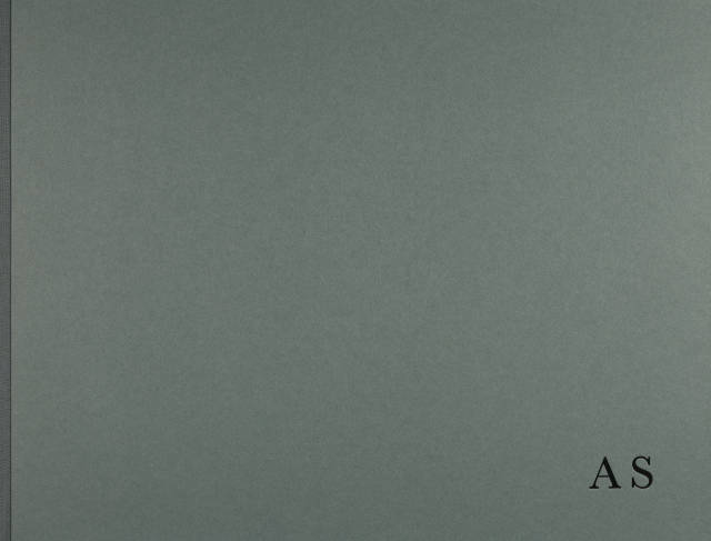 Albrecht Schnider : Landschaft, 2009 