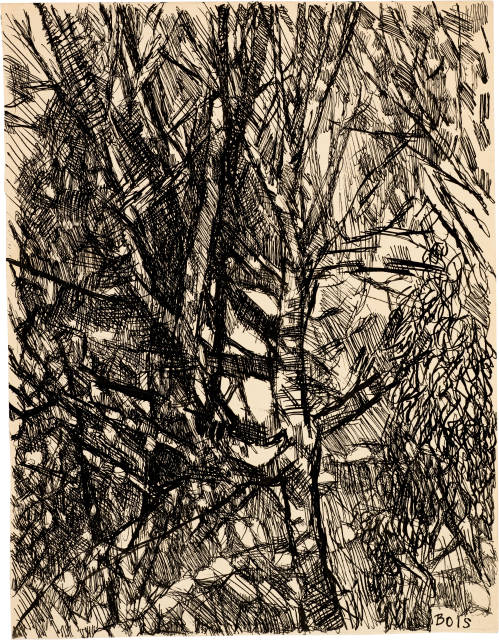 Louis Soutter : Bois, 1930-1937 