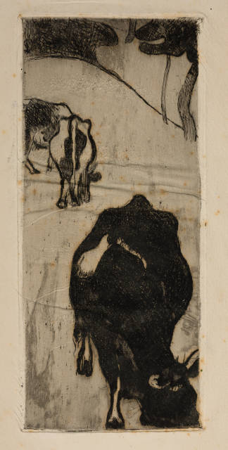 Cuno Amiet : Kühe (Bretagne), 1893