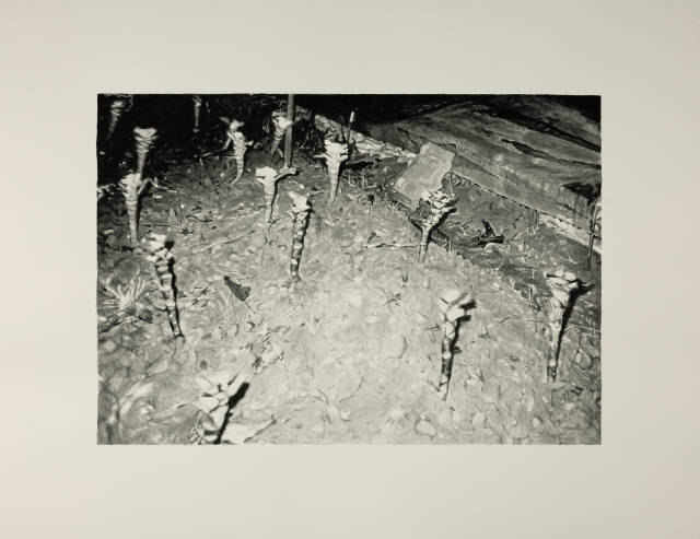 Marcel Gähler : Ohne Titel, 2003