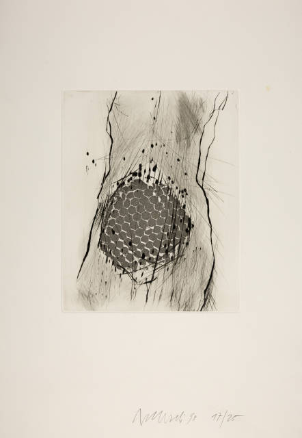 Rolf Iseli : Die Wabenfrau , 1998 