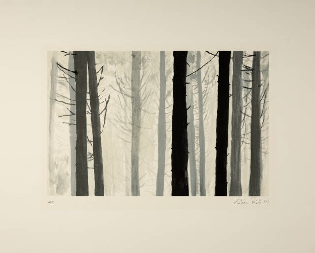 Kotscha Reist : Ohne Titel (Wald), 2002 