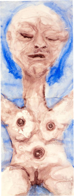 Klaudia Schifferle : Frontalansicht, 1992