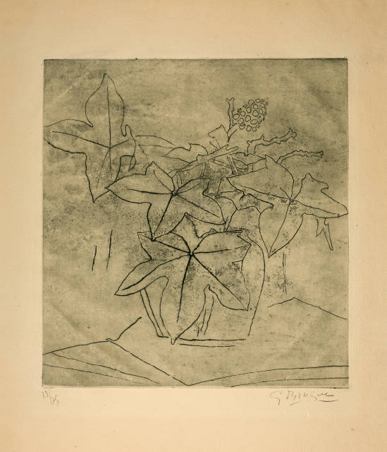 Georges Braque : Le lierre, 1955