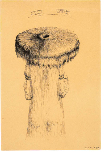 Markus Raetz : Beatrice d'Este, 1971 